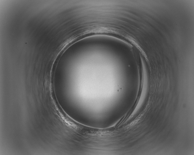 X0000058770845200510031043