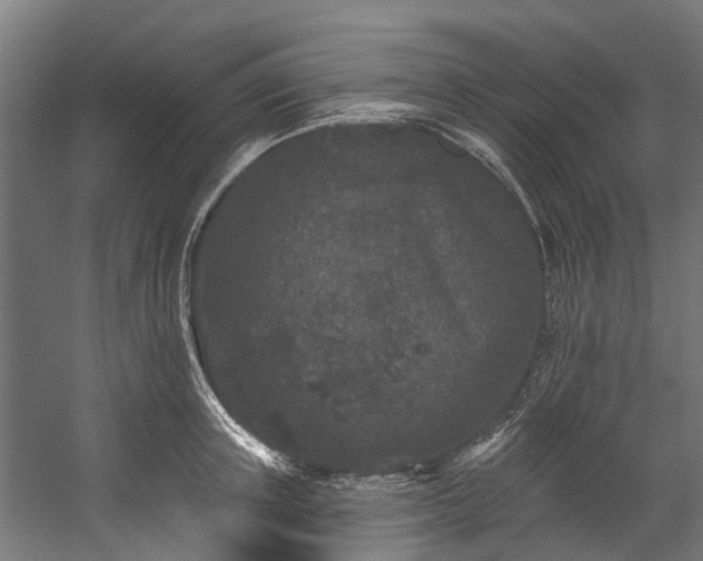 X0000058770851200510031044