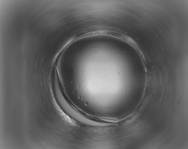 X0000058770859200510031044