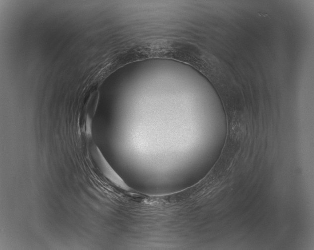 X0000058770866200510031043