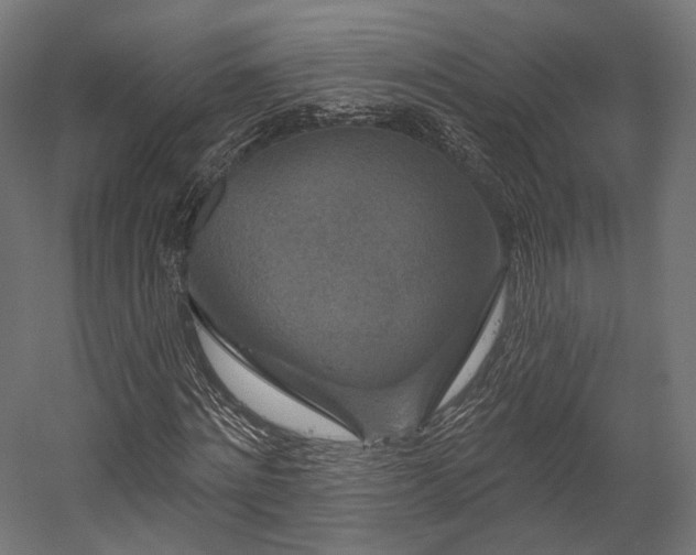 X0000058770868200510031043