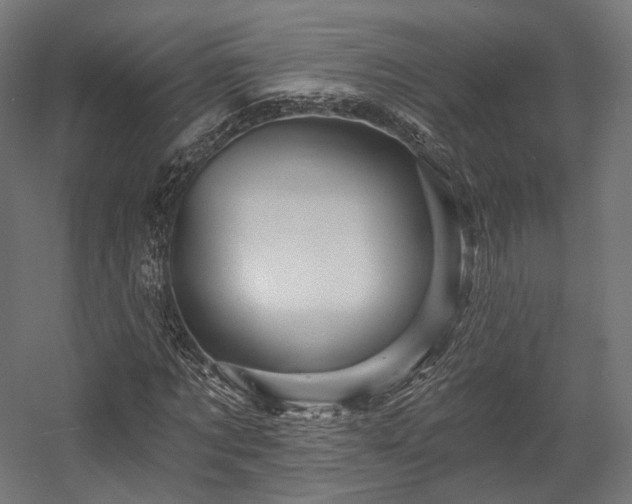X0000058770869200510031043