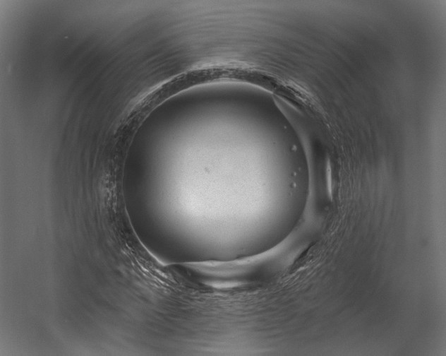 X0000058770872200510031043