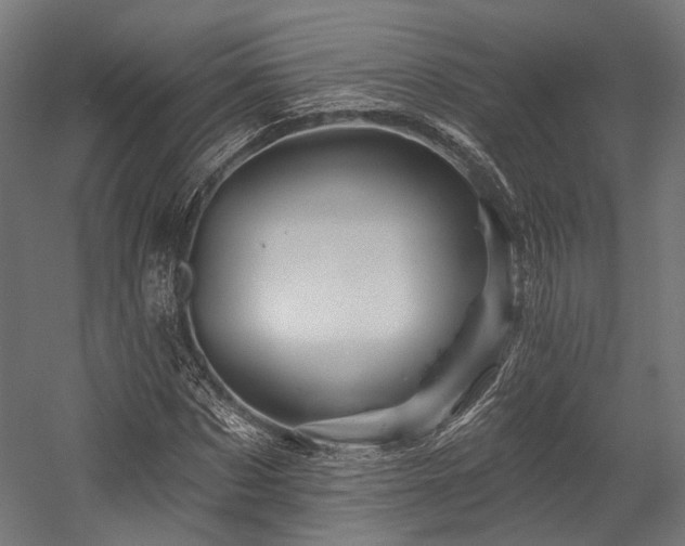 X0000058770873200510031043
