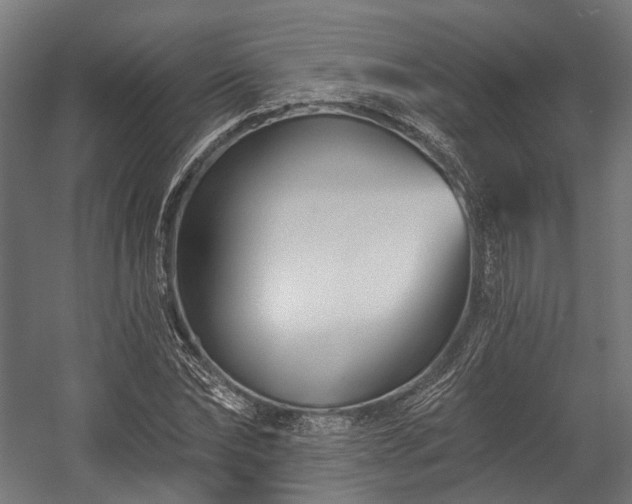 X0000058770878200510031043