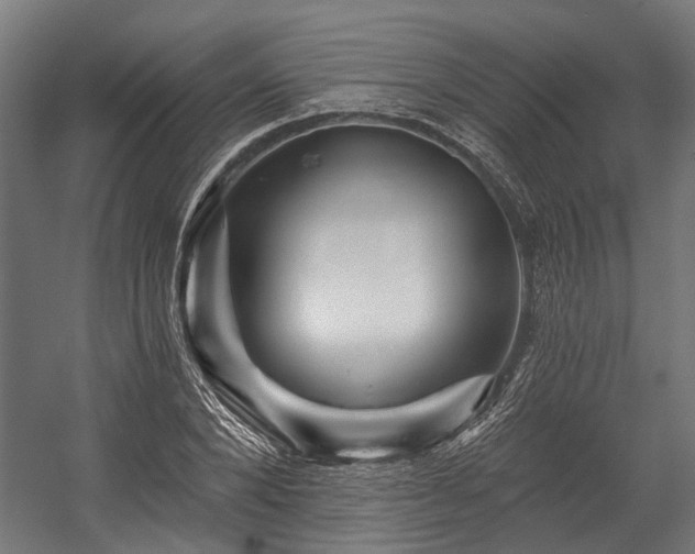 X0000058770880200510031043