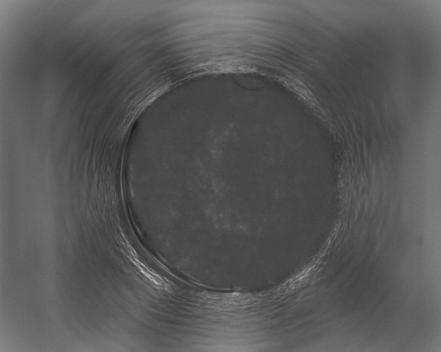 X0000058770881200510031043