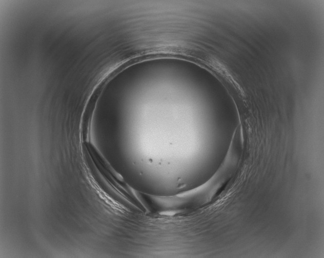 X0000058770884200510031043