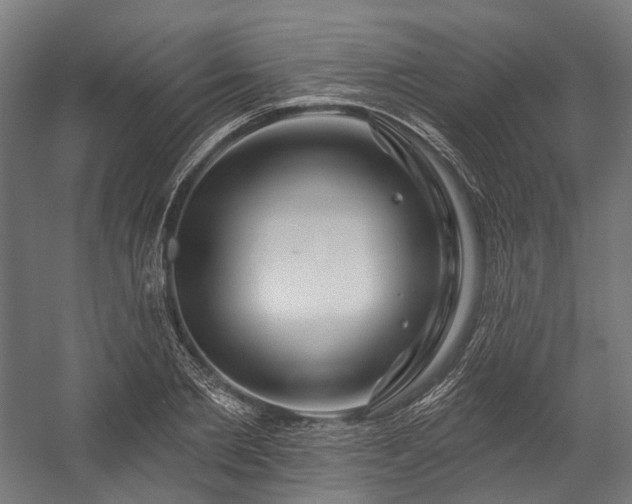 X0000058770885200510031043