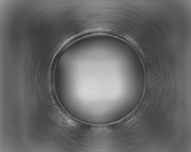 X0000058770886200510031043