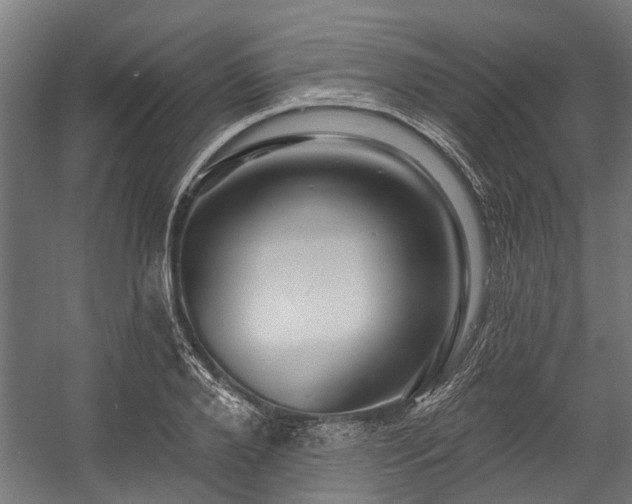 X0000058770888200510031043