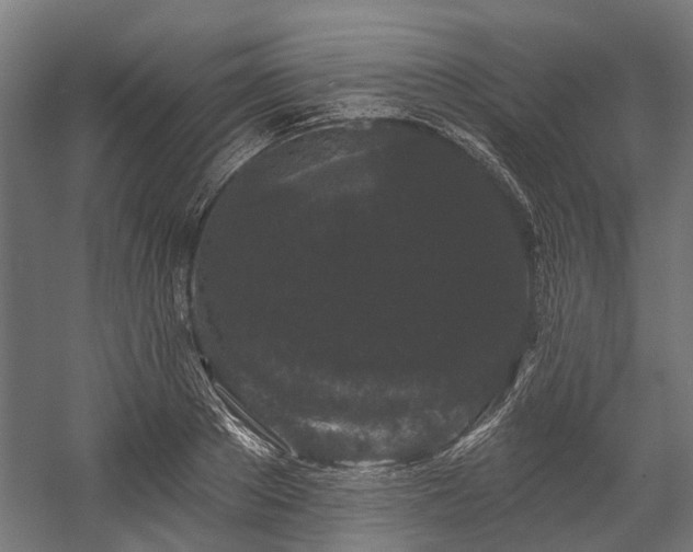 X0000058770889200510031042