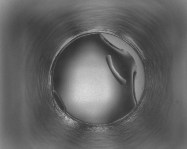 X0000058770900200510031042