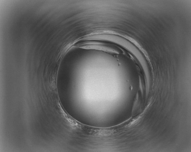 X0000058770905200510031042