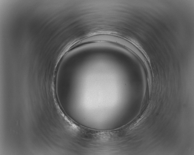X0000058770906200510031042