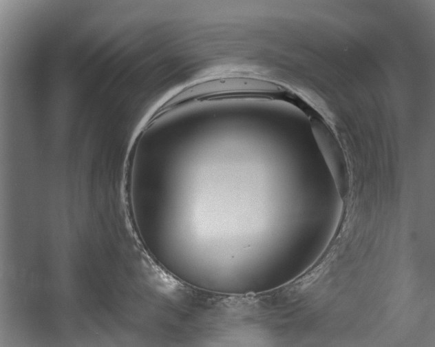 X0000058770912200510031042
