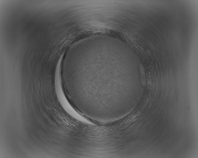 X0000058770916200510031041