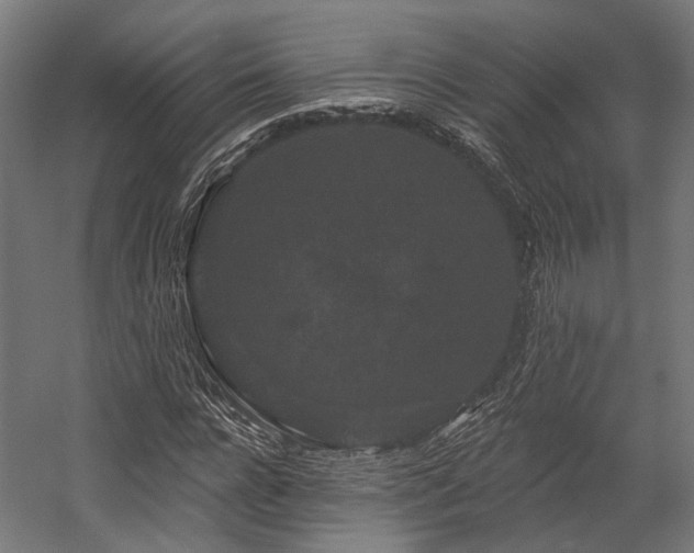 X0000058770920200510031041