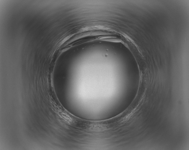 X0000058770921200510031041
