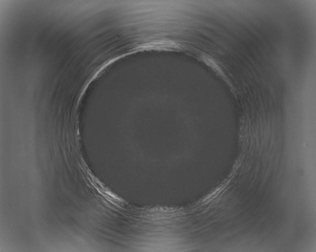 X0000058770923200510031041