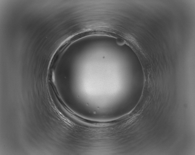 X0000058770924200510031041