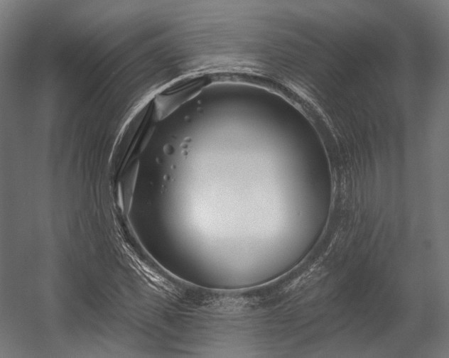 X0000058770925200510031041