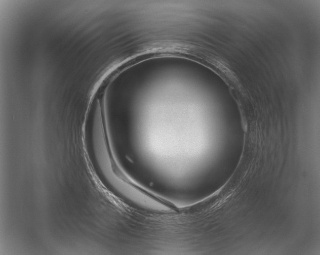X0000058770936200510031042