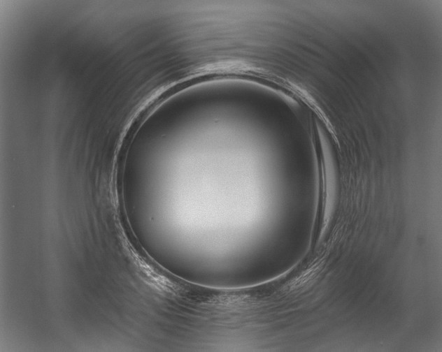 X0000058770939200510031042