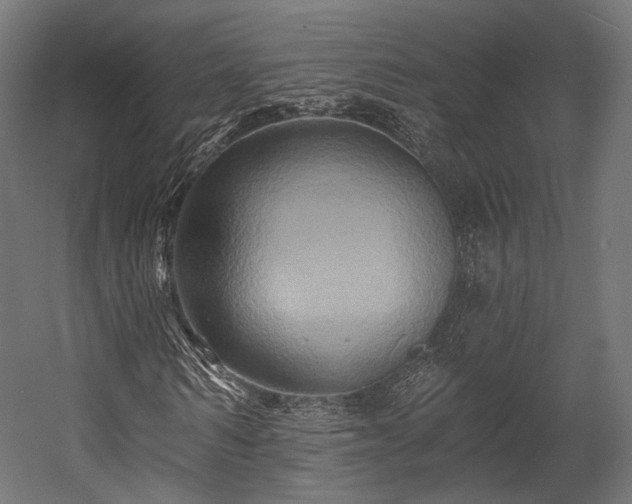 X0000058770962200510031041
