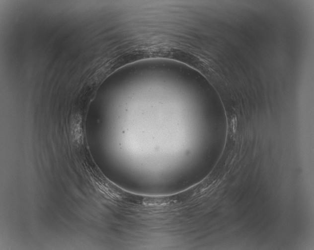 X0000058770963200510031041