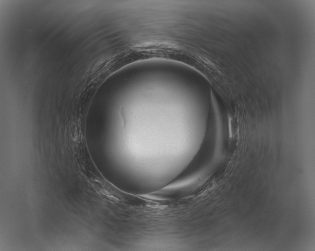 X0000058770965200510031041
