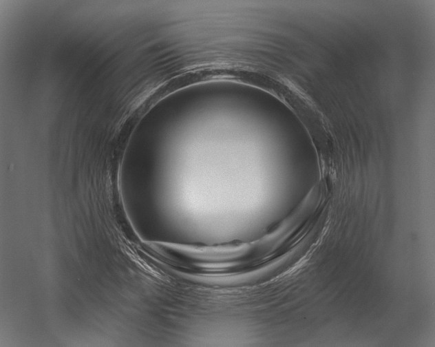 X0000058770969200510031041