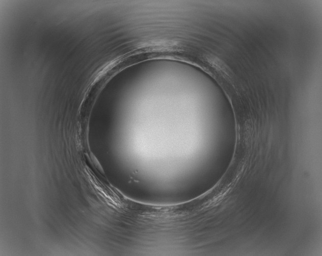 X0000058770970200510031041