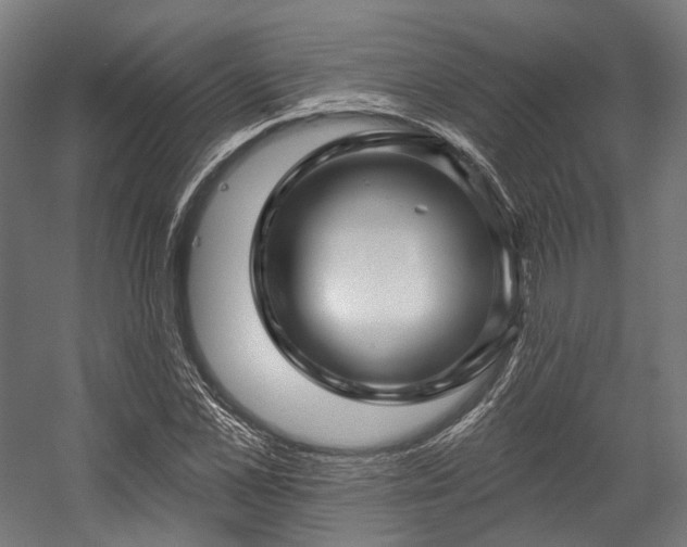 X0000058770973200510031041