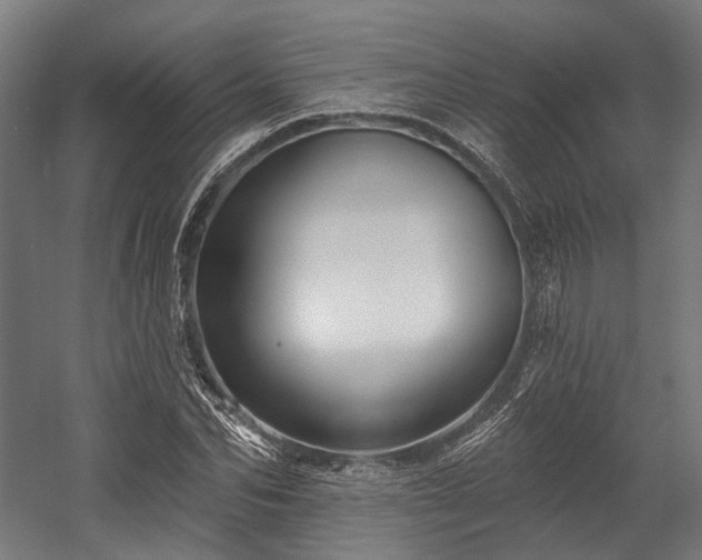 X0000058770974200510031041