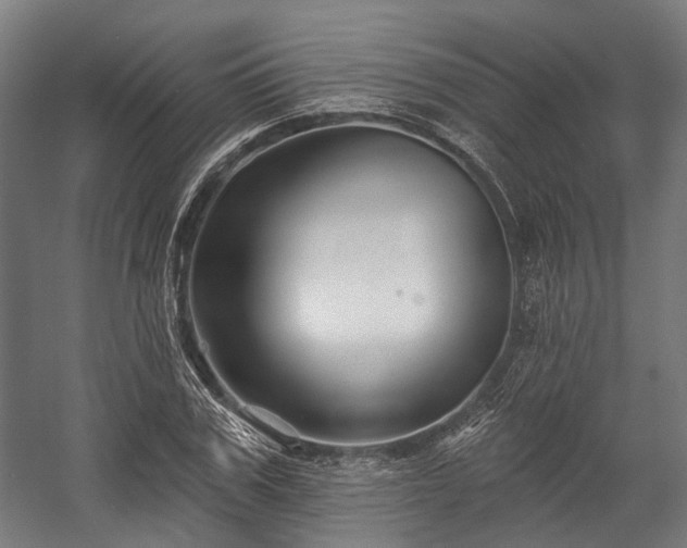 X0000058770979200510031041
