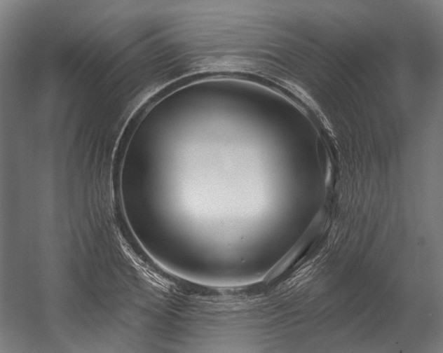 X0000058770980200510031041