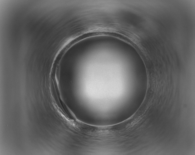 X0000058770982200510031041