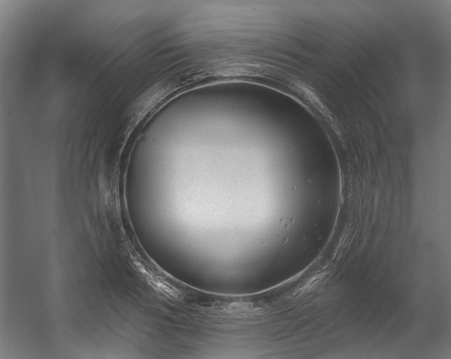 X0000058770986200510031041