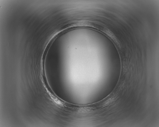 X0000058770988200510031041