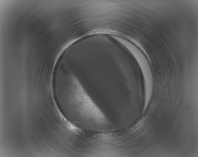 X0000058770995200510031041
