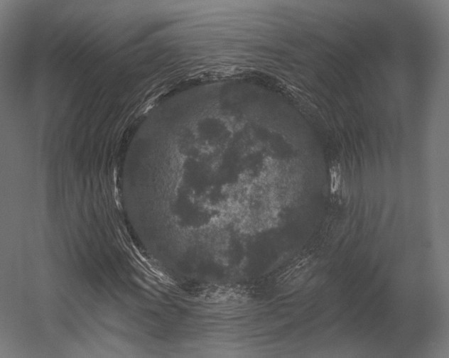 X0000058771011200510031040