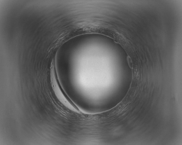 X0000058771012200510031040