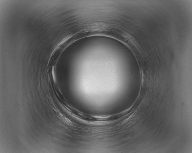 X0000058771018200510031040