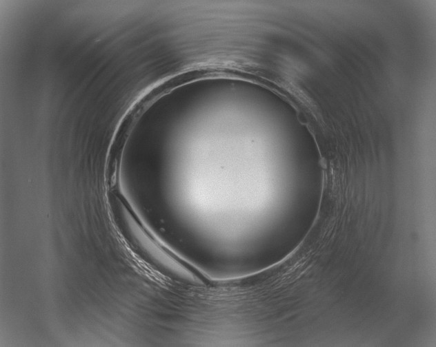 X0000058771020200510031040