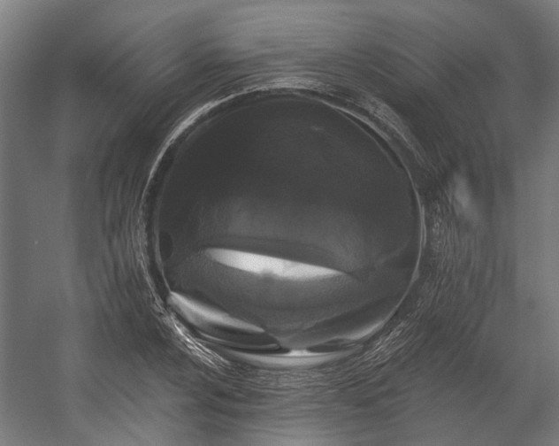 X0000058771024200510031040