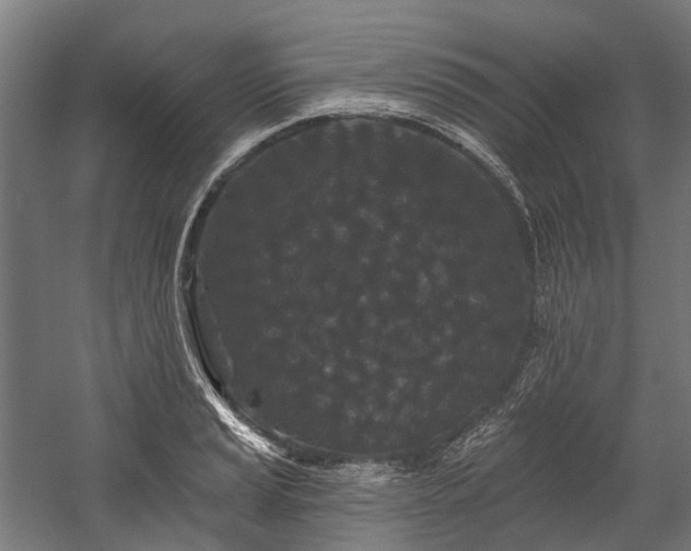 X0000058771037200510031040
