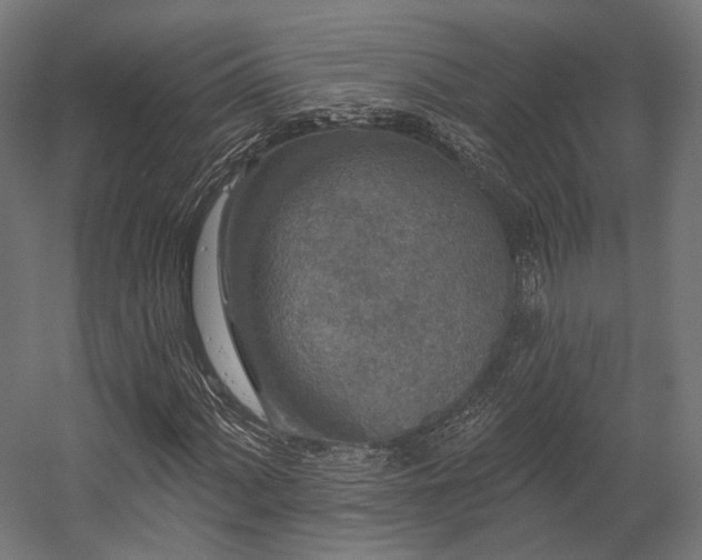 X0000058771060200510031040
