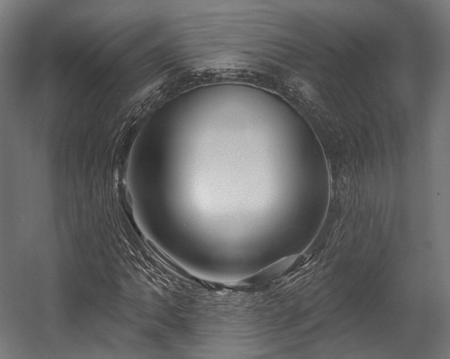 X0000058771062200510031039