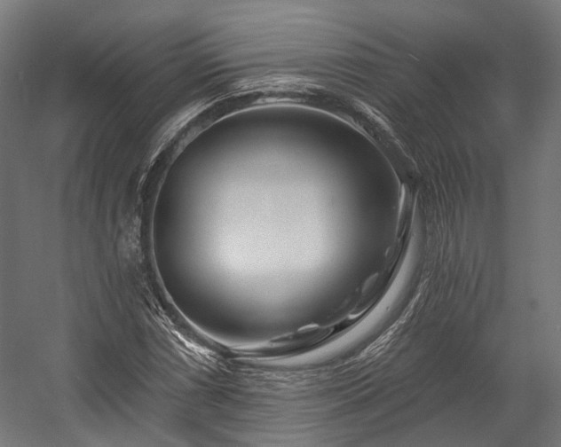 X0000058771066200510031039